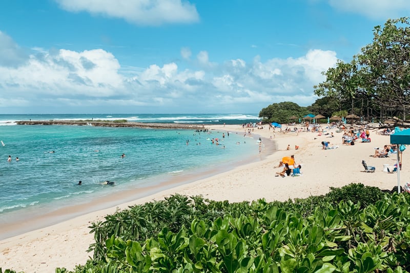 Kuilima Cove snorkeling