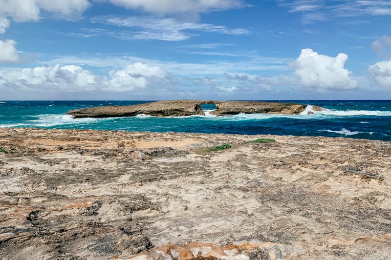 Laie Point Cliff Jump in Oahu Hawaii