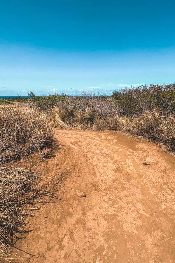 Trail to the Olivine Pools in Maui