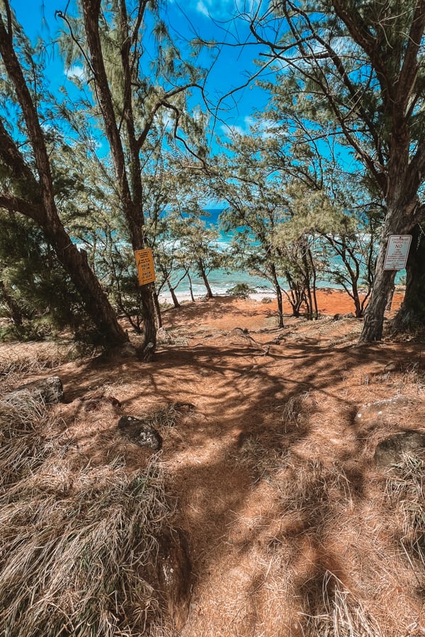 Punalau Beach trail