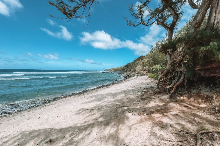 Windmills beach in Maui