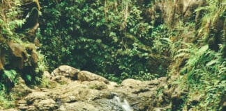 Waimano Falls in Oahu Hawaii.