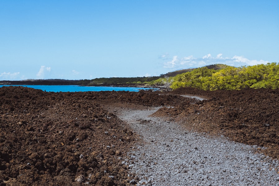 Hoapili trail through a lava field 