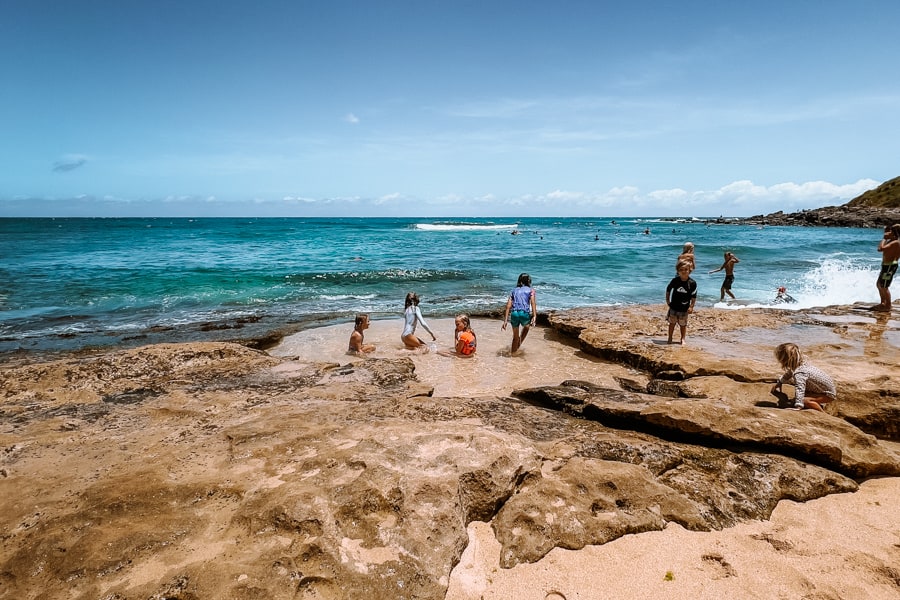 Turtle beach Maui