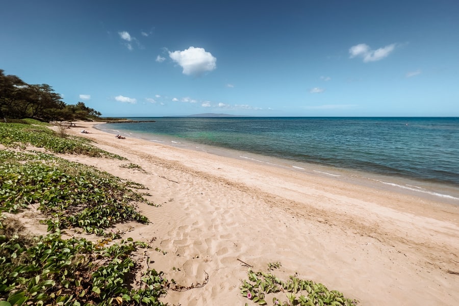 Waipuilani Park Beach