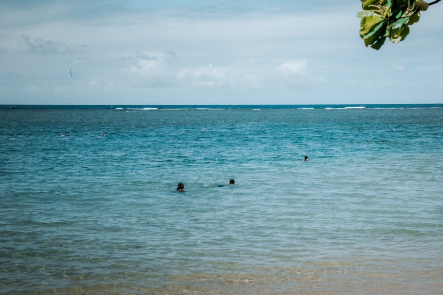 Anini Beach snorkeling