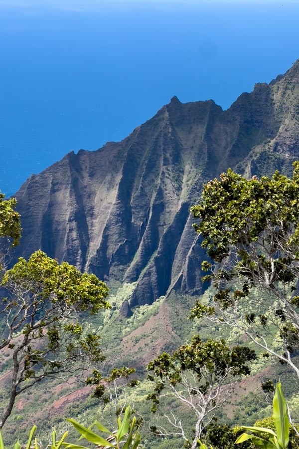 Kalalau Lookout with views of the Napali coast