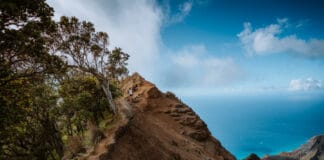 Kalepa Ridge Trail