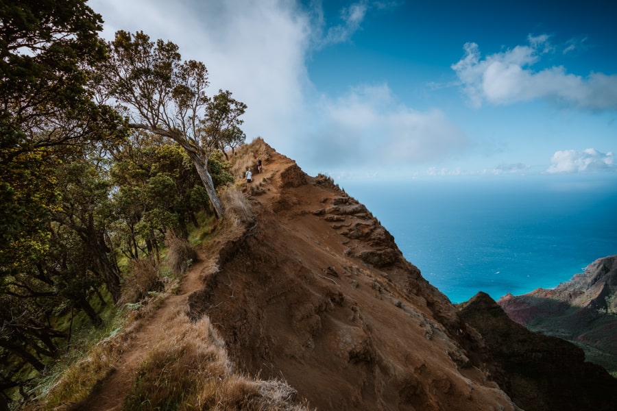 Kalepa Ridge Trail