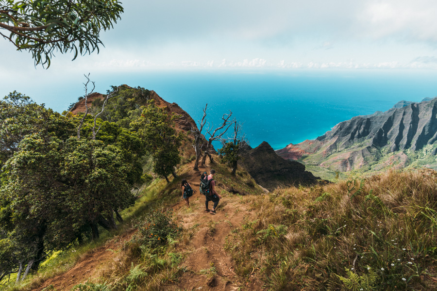 Kalepa Ridge Trail