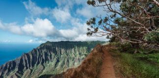Kalepa Ridge Trail in Kauai Hawaii
