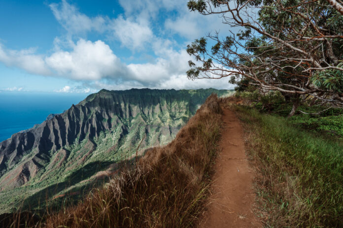 Kalepa Ridge Trail Kalepa Ridge Trail in Kauai Hawaii