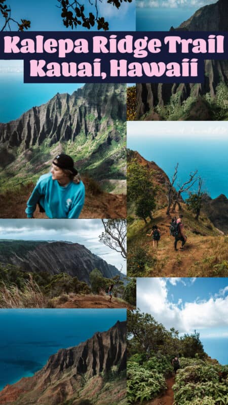 Kalepa Ridge Trail Hike Kauai Hawaii