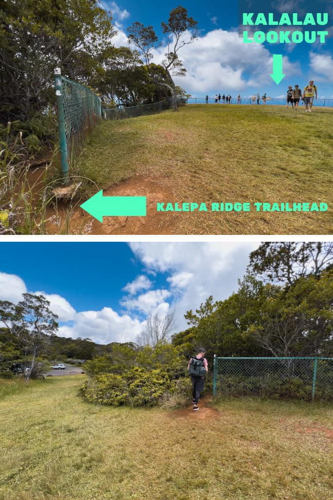 Kalepa ridge trailhead in Kauai