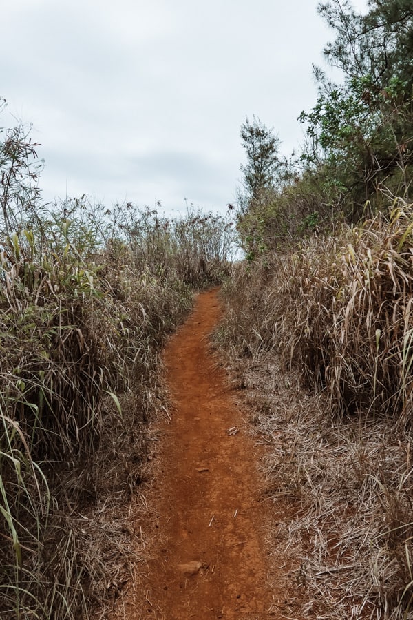 Larsens Beach hike Kauai