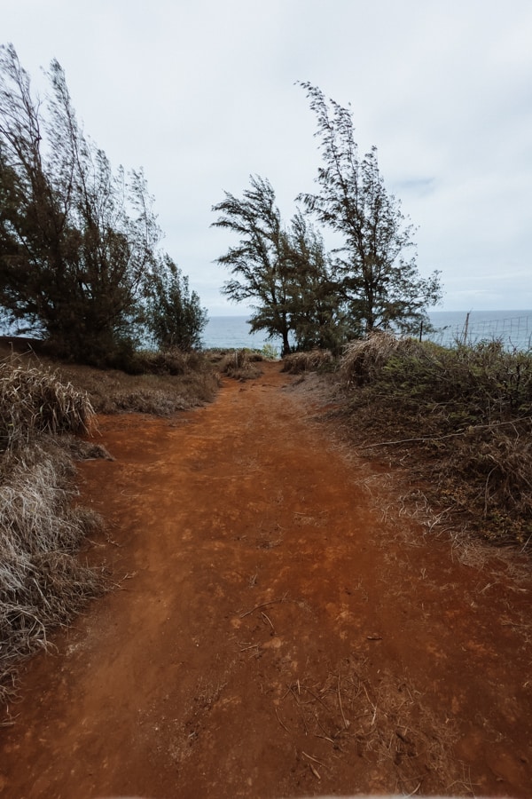 Larsens Beach hike Kauai