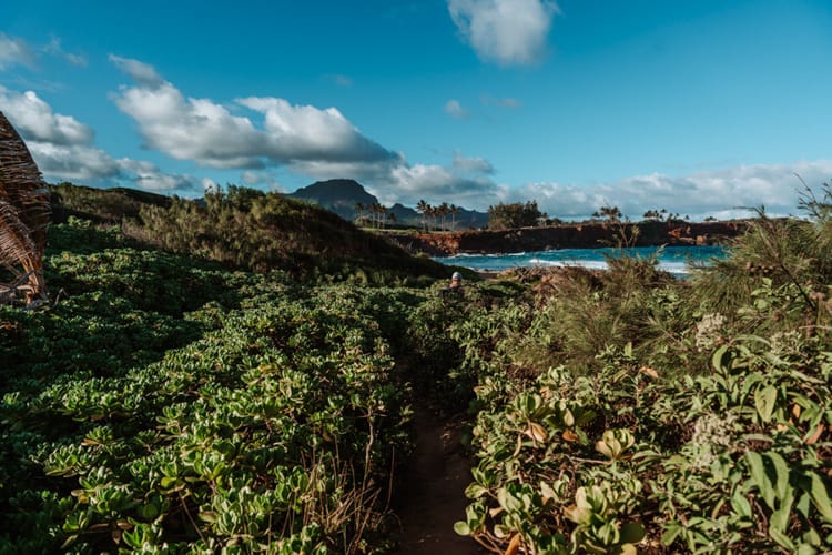 Mahaulepu Heritage Trail