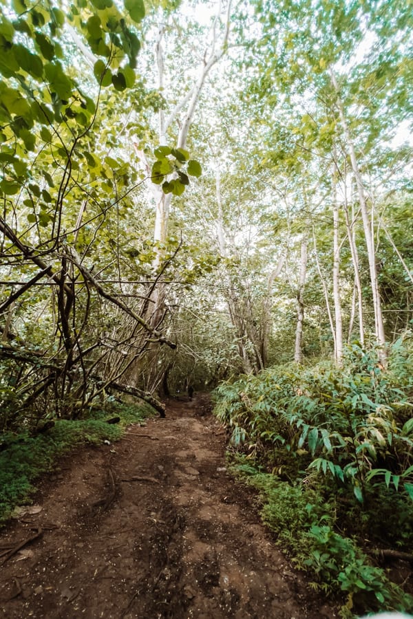 Makaleha Falls Hike