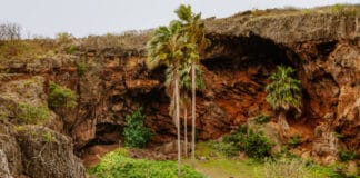 Makauwahi Cave trail