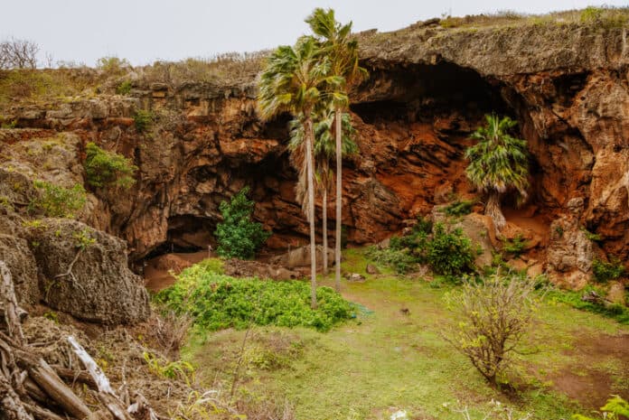 Makauwahi Cave trail