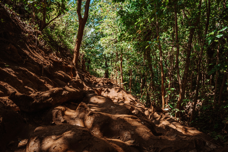 Queens Bath Hike in Kauai Hawaii