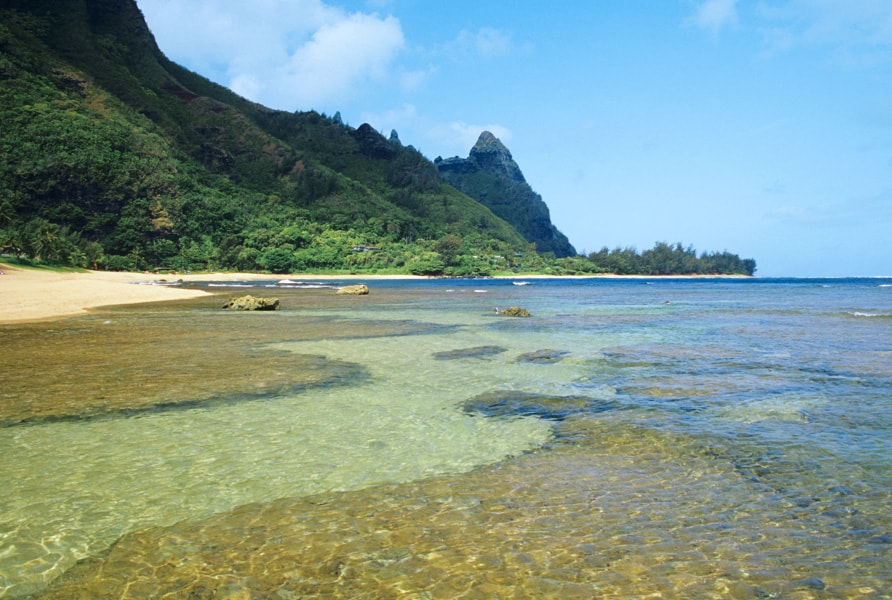 Reef at Tunnels Beach Kauai