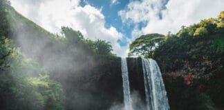 Wailua falls hike