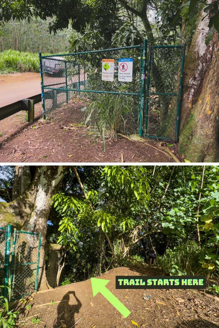 Wailua Falls hike access in Kauai Hawaii