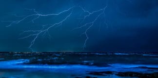 Bioluminescent Holbox