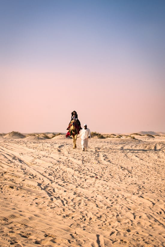 Camel ride in Qatar