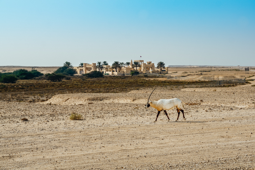 Zekreet village Doha Qatar