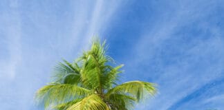 Plage de la Caravelle Guadeloupe