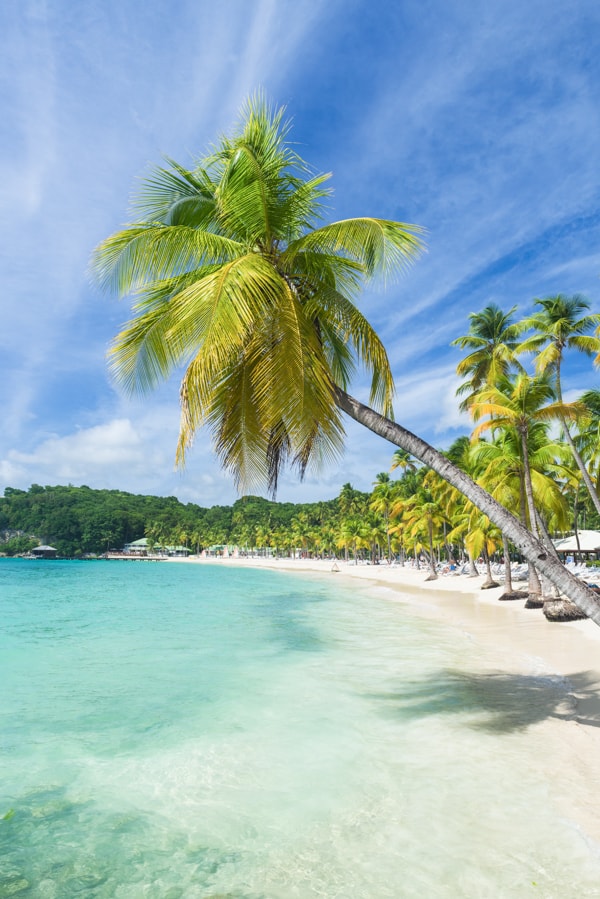 Plage de la Caravelle Guadeloupe