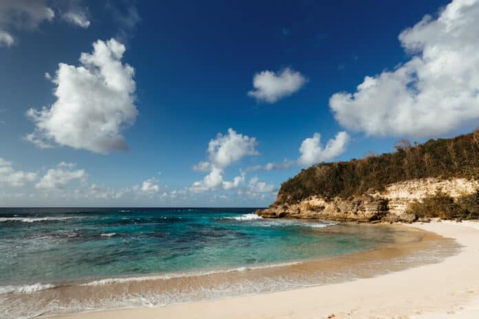 Anse Laborde on Guadeloupe Island Anse Laborde beach on Guadeloupe Island