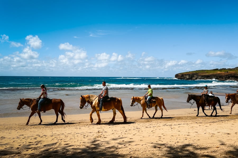 Gillins beach horseback riding in Kauai
