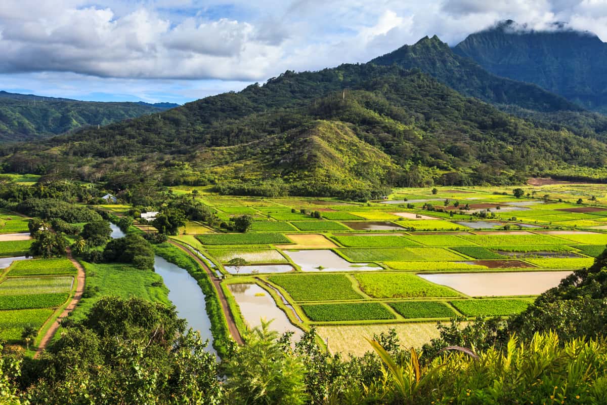 Hanalei River Kauai Hawaii