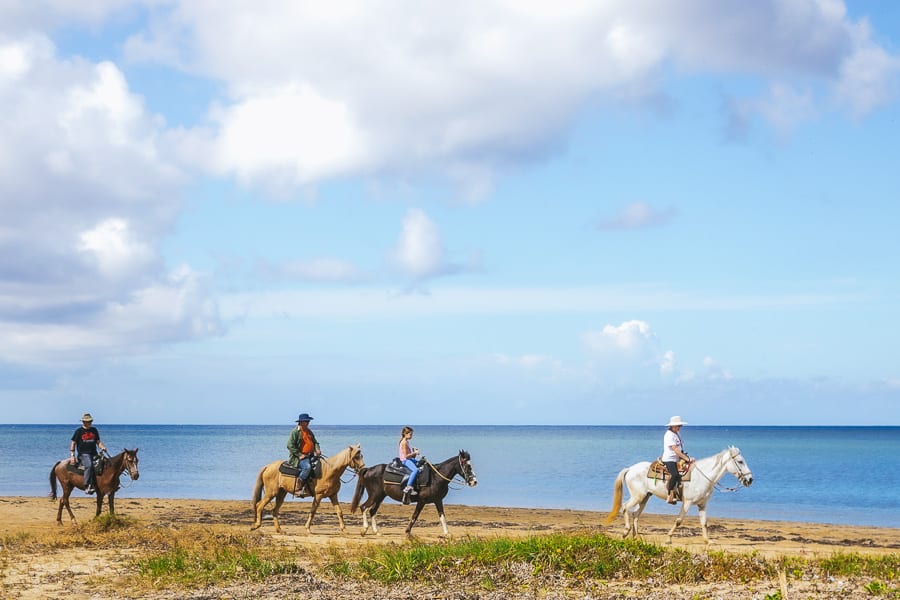 Horseback riding along Sandy Bay Beach on Roatan Island