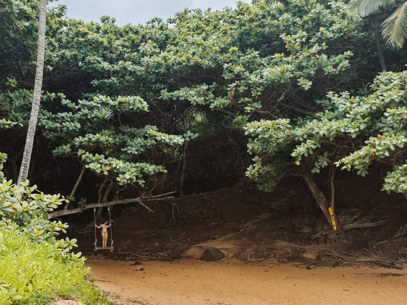 Kauapea beach swing Kauai