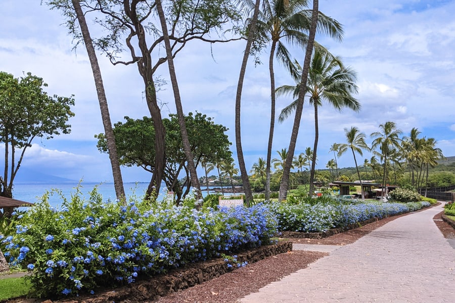 Maluaka Beach Maui Hawaii