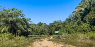 Marbella Beach closed in Roatan Hondruas
