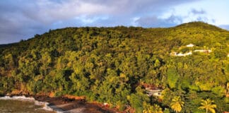 Plage Caraibe black sand beach in Pointe Noire.