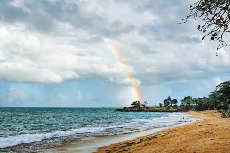 Plage de Cluny in Guadeloupe