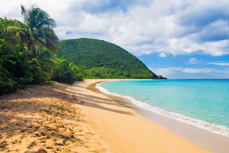 Plage de Grande Anse