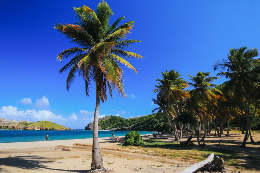 Pompierre Beach (Plage de Pompierre) on Terre De Haut island. 