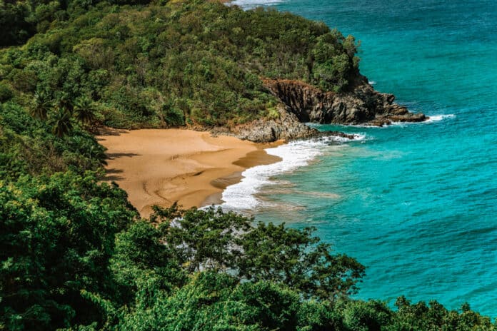 Beach Plage de Tillet, Basse-Terre, Guadeloupe