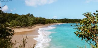 Plage de Amandiers Guadeloupe