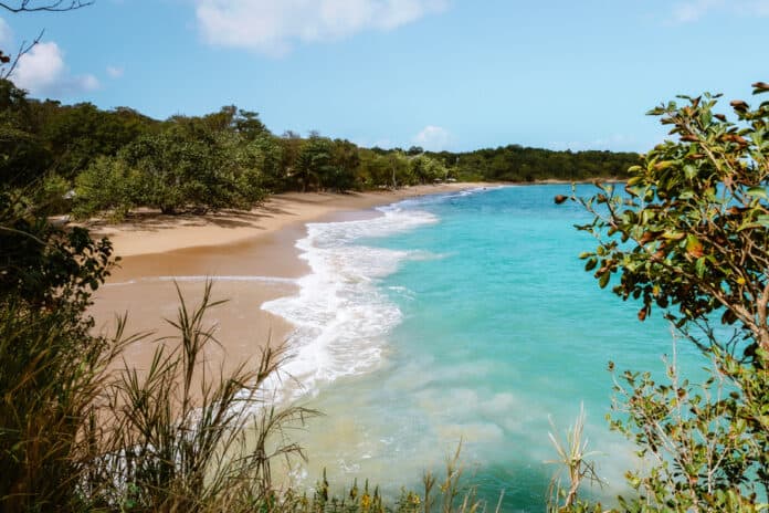 Plage de Amandiers Guadeloupe