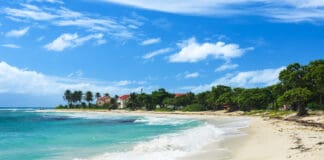 Plage des Raisins Clairs beach, Saint Francois Guadeloupe