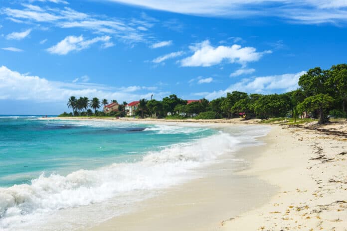 Plage des Raisins Clairs beach, Saint Francois Guadeloupe