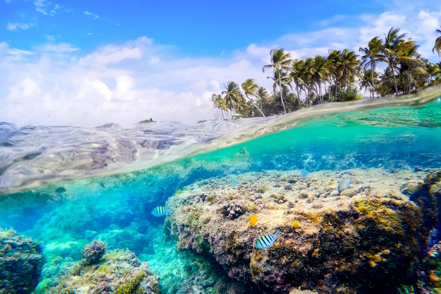 Plage du Gosier snorkeling in Guadeloupe